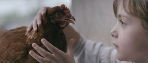 『鶏』（The Chicken）