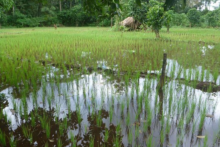 laos-thateng-dam-project