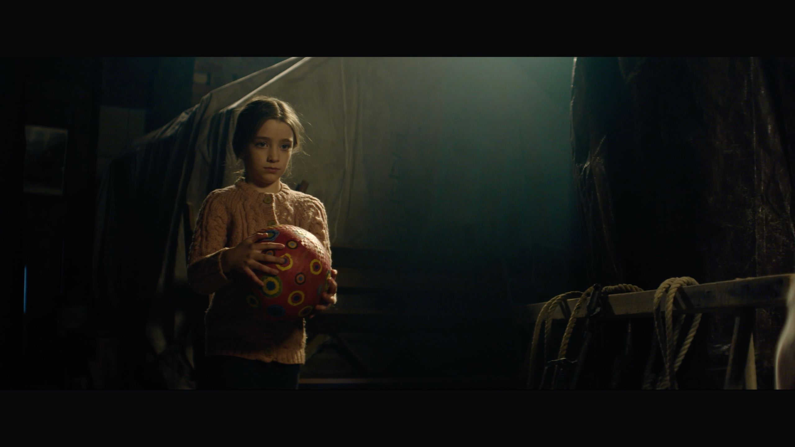 Hedgehog/ハリネズミ